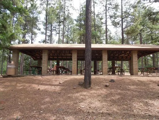 Pine Cone Hotel